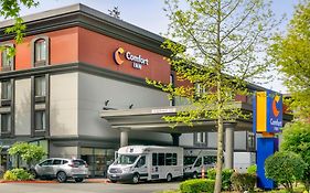 Comfort Inn & Suites Sea-Tac Airport